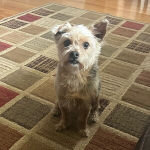 Meet your Posher, Alondra